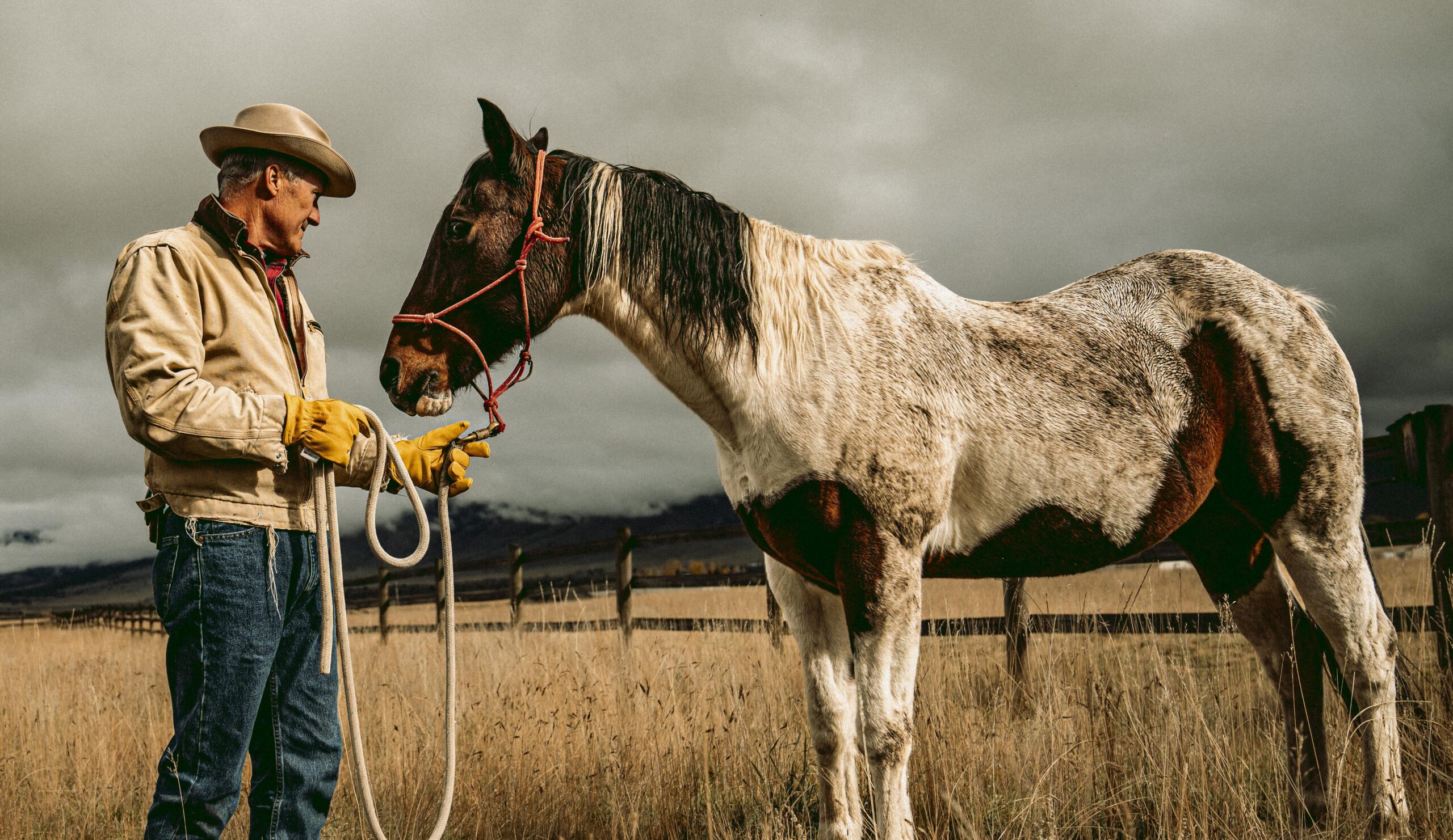 Man working with horse after learning how to pick the best cold-weather work gloves for durability and warmth.