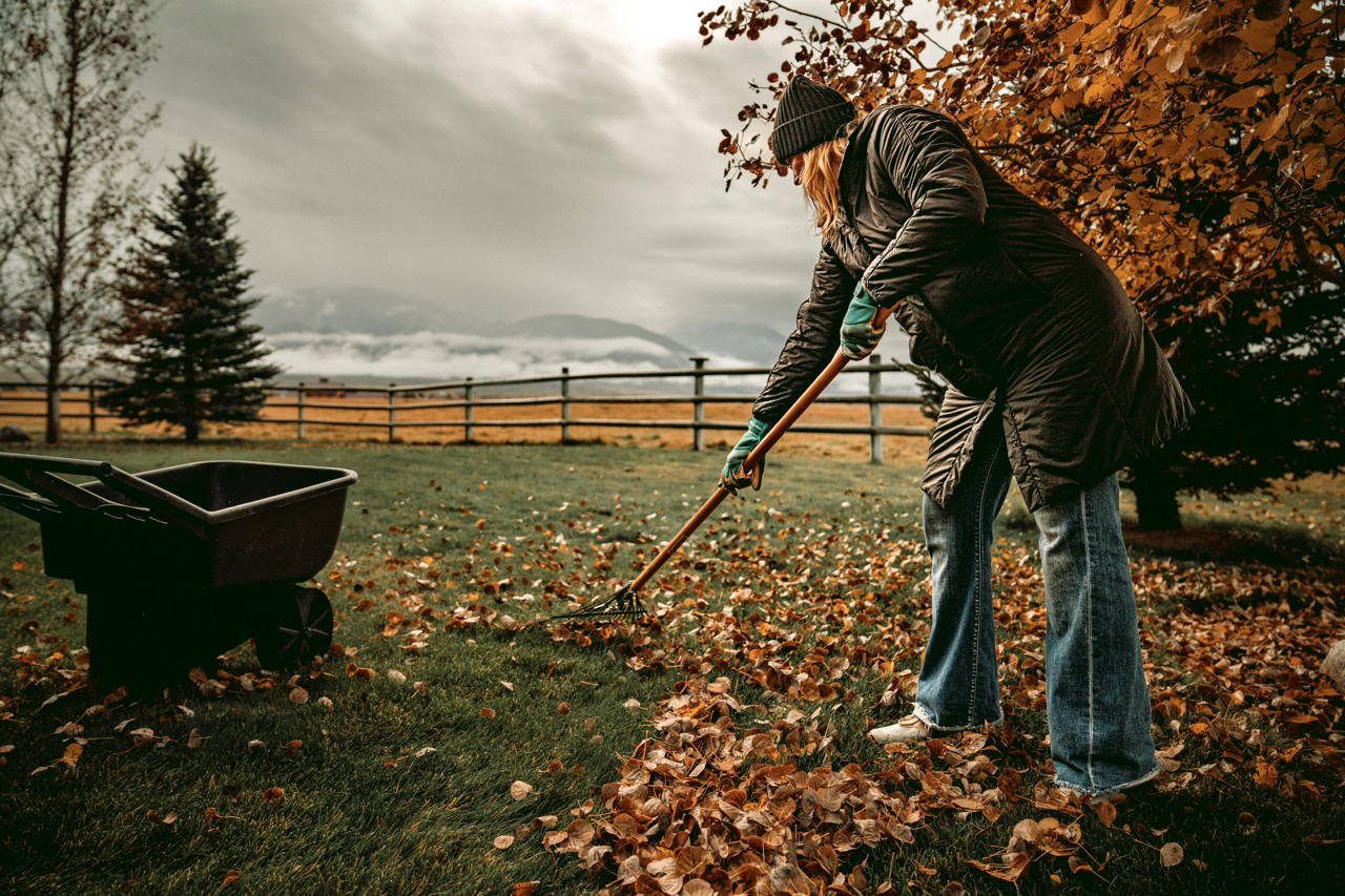 Fall Cleanup Guide